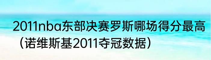 2011nba东部决赛罗斯哪场得分最高（诺维斯基2011夺冠数据）