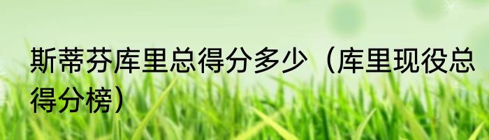 斯蒂芬库里总得分多少（库里现役总得分榜）