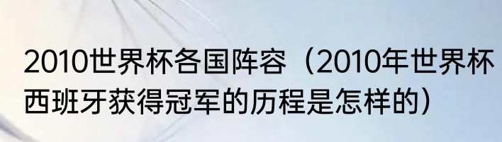 2010世界杯各国阵容（2010年世界杯西班牙获得冠军的历程是怎样的）