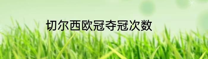 切尔西欧冠夺冠次数