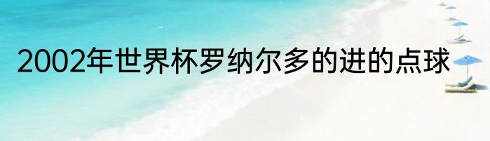 2002年世界杯罗纳尔多的进的点球
