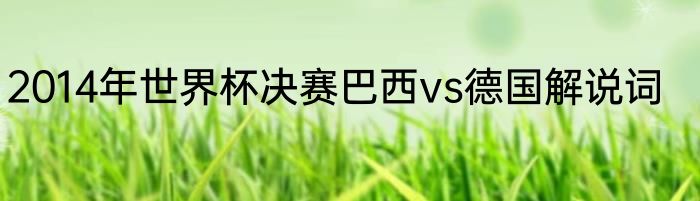 2014年世界杯决赛巴西vs德国解说词