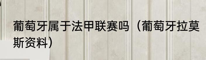 葡萄牙属于法甲联赛吗（葡萄牙拉莫斯资料）