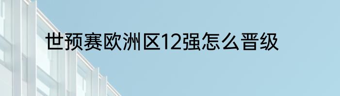 世预赛欧洲区12强怎么晋级