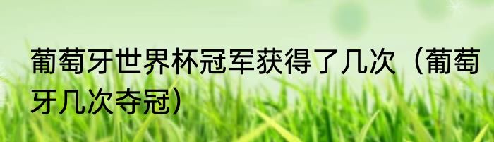 葡萄牙世界杯冠军获得了几次（葡萄牙几次夺冠）