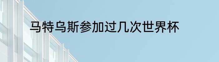 马特乌斯参加过几次世界杯