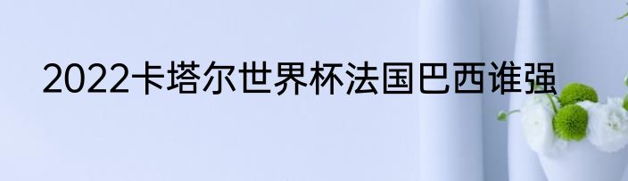 2022卡塔尔世界杯法国巴西谁强