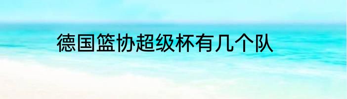 德国篮协超级杯有几个队