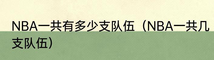 NBA一共有多少支队伍（NBA一共几支队伍）