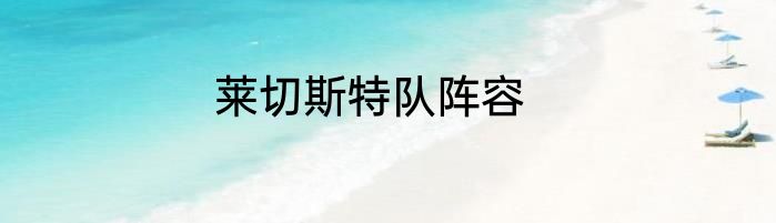 莱切斯特队阵容