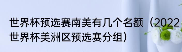 世界杯预选赛南美有几个名额（2022世界杯美洲区预选赛分组）