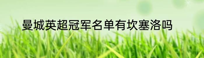曼城英超冠军名单有坎塞洛吗