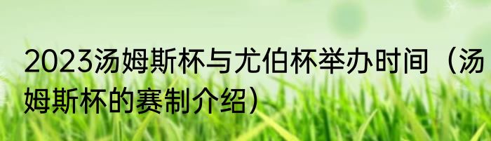 2023汤姆斯杯与尤伯杯举办时间（汤姆斯杯的赛制介绍）