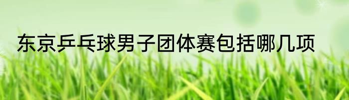 东京乒乓球男子团体赛包括哪几项