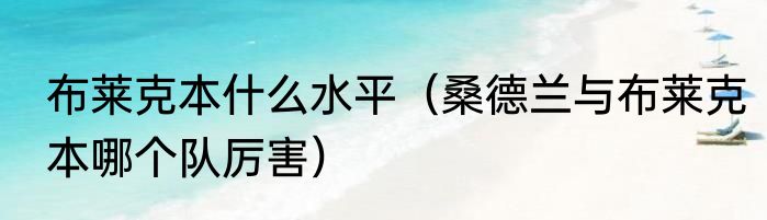 布莱克本什么水平（桑德兰与布莱克本哪个队厉害）
