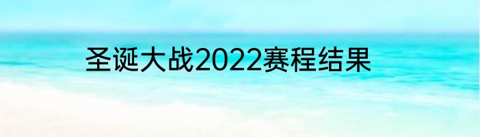 圣诞大战2022赛程结果