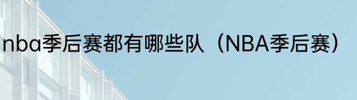 nba季后赛都有哪些队（NBA季后赛）
