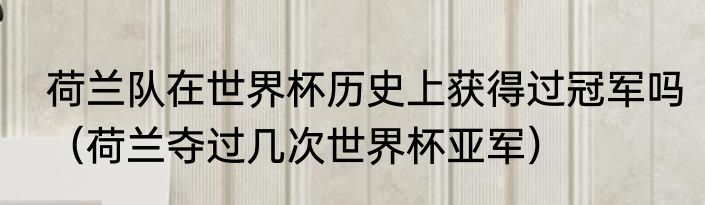 荷兰队在世界杯历史上获得过冠军吗（荷兰夺过几次世界杯亚军）