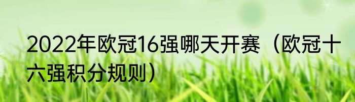 2022年欧冠16强哪天开赛（欧冠十六强积分规则）