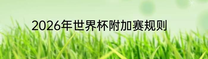 2026年世界杯附加赛规则