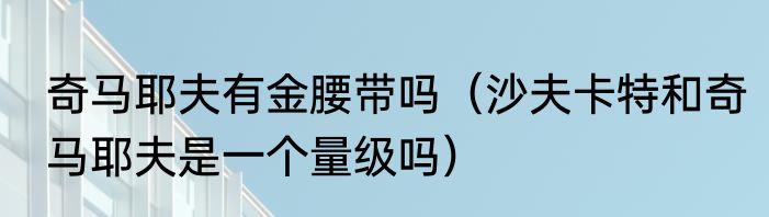 奇马耶夫有金腰带吗（沙夫卡特和奇马耶夫是一个量级吗）