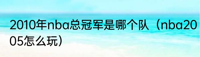 2010年nba总冠军是哪个队（nba2005怎么玩）