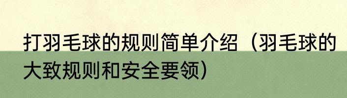 打羽毛球的规则简单介绍（羽毛球的大致规则和安全要领）