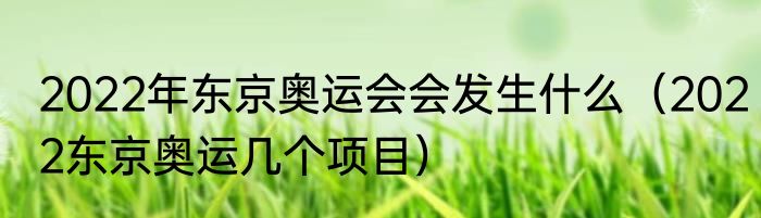 2022年东京奥运会会发生什么（2022东京奥运几个项目）