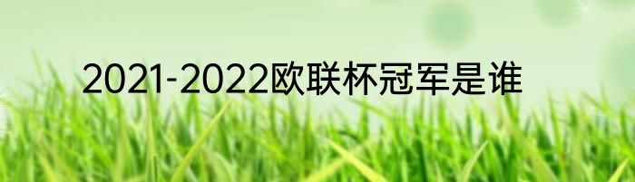 2021-2022欧联杯冠军是谁