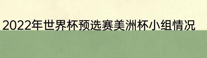 2022年世界杯预选赛美洲杯小组情况