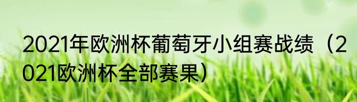 2021年欧洲杯葡萄牙小组赛战绩（2021欧洲杯全部赛果）