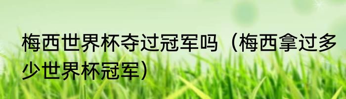 梅西世界杯夺过冠军吗（梅西拿过多少世界杯冠军）