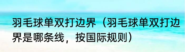 羽毛球单双打边界（羽毛球单双打边界是哪条线，按国际规则）