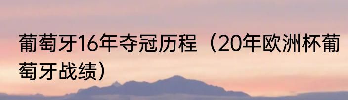 葡萄牙16年夺冠历程（20年欧洲杯葡萄牙战绩）