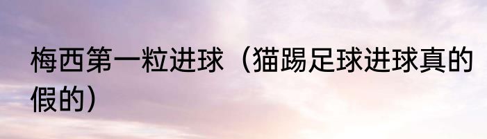 梅西第一粒进球（猫踢足球进球真的假的）