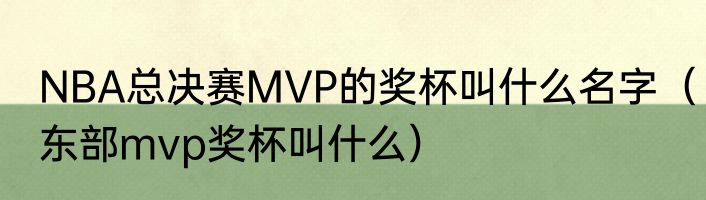 NBA总决赛MVP的奖杯叫什么名字（东部mvp奖杯叫什么）