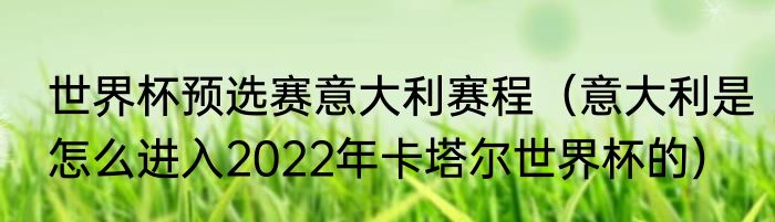 世界杯预选赛意大利赛程（意大利是怎么进入2022年卡塔尔世界杯的）