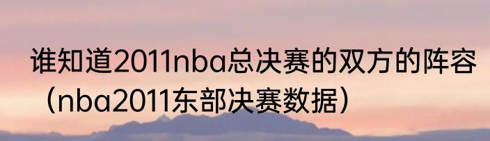 谁知道2011nba总决赛的双方的阵容（nba2011东部决赛数据）