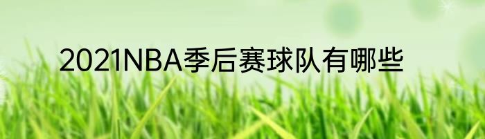 2021NBA季后赛球队有哪些