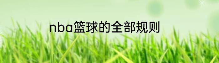 nba篮球的全部规则
