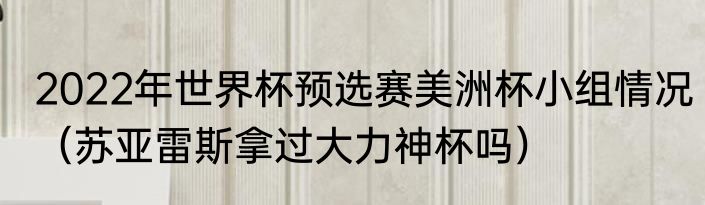2022年世界杯预选赛美洲杯小组情况（苏亚雷斯拿过大力神杯吗）
