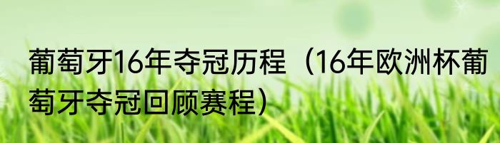 葡萄牙16年夺冠历程（16年欧洲杯葡萄牙夺冠回顾赛程）