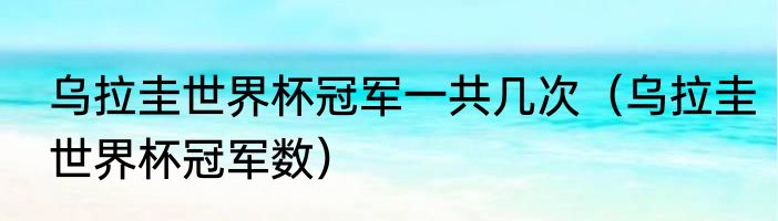 乌拉圭世界杯冠军一共几次（乌拉圭世界杯冠军数）