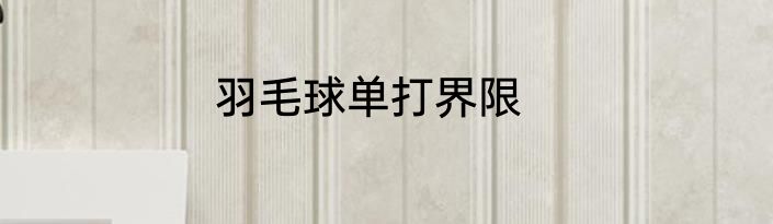 羽毛球单打界限