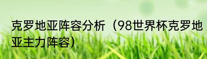 克罗地亚阵容分析（98世界杯克罗地亚主力阵容）