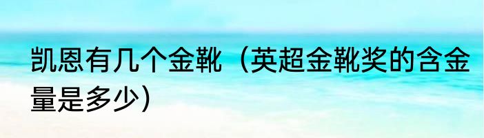 凯恩有几个金靴（英超金靴奖的含金量是多少）