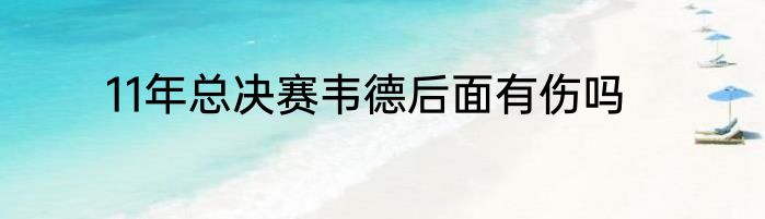 11年总决赛韦德后面有伤吗