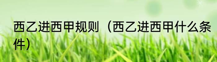 西乙进西甲规则（西乙进西甲什么条件）