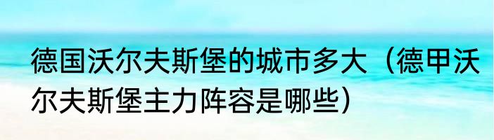 德国沃尔夫斯堡的城市多大（德甲沃尔夫斯堡主力阵容是哪些）