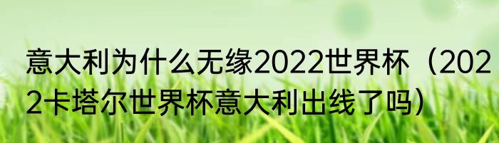 意大利为什么无缘2022世界杯（2022卡塔尔世界杯意大利出线了吗）